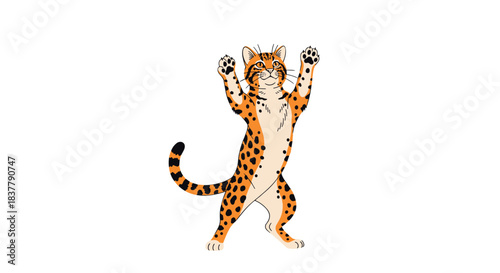 A playful ocelot or leopard cat stands on its hind legs with its front paws raised in the air in a dancing pose.
