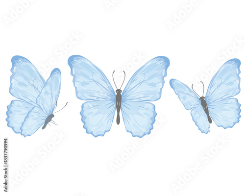 watercolor hand drawn design vector 