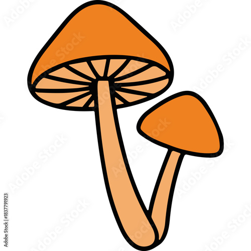 Two Vibrant Orange Mushrooms with Detailed Gills Standing Tall Against a Black Background Symbolizing Autumn and Nature