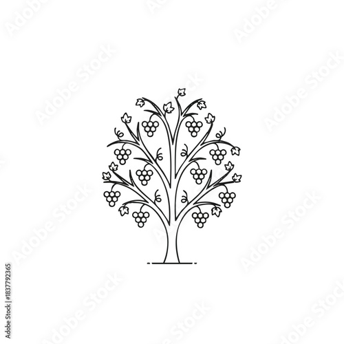 A simple line drawing of a tree with clusters of grapes and leaves on a white background.
