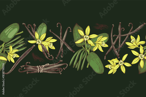 Vanilla hand drawn seamless border