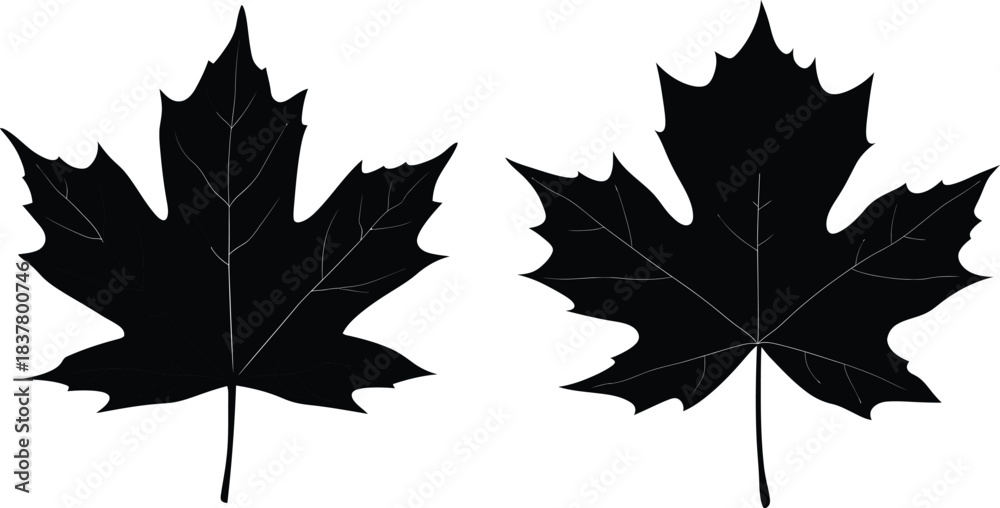 Fototapeta premium Autumn Leaf Silhouette Set vector
