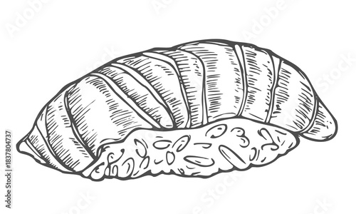 Drawing of nigiri sushi - hand sketch of food