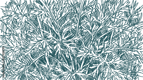 Abstract hand drawn sketch carrot leaves botanical illustration organic background chaotic nature pattern