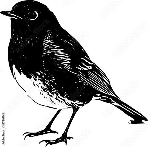 Silhouette of a European robin svg
