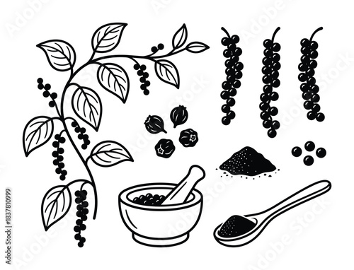 Black pepper plant branch with leaves. Peppercorns. Grinding mortar with pestle. Dried seeds. Spice.