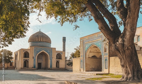 Architectural complex in natural light, trees framing structure