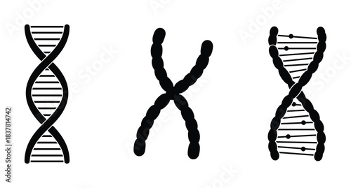 DNA helix and chromosome symbols for genetics, biology, and scientific study of life.