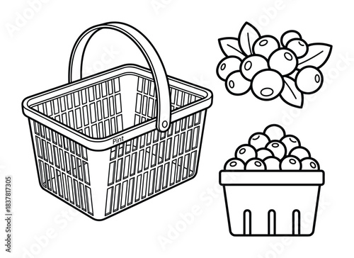 Hand drawn illustrations of blueberry fruit, shopping basket, and pint container