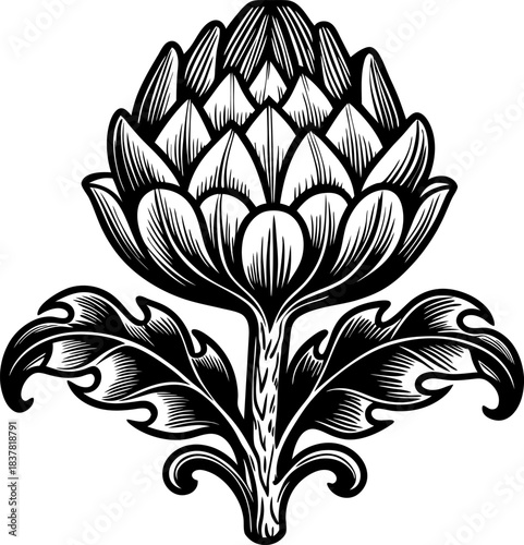Artichoke blossom engraving vintage botanical illustration of edible flower bud with ornate leaves, black and white etching design