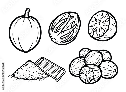 Nutmeg fruit, whole, half, seeds, grated powder, grater hand drawn sketch isolated on white background