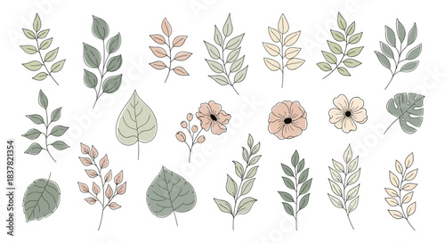 Elegant hand-drawn botanical illustrations of leaves and flowers with a delicate artistic touch