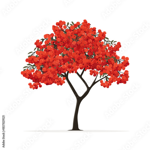 Minimal 2D vector illustration of Rowan Tree in flat icon style on a plain white background.