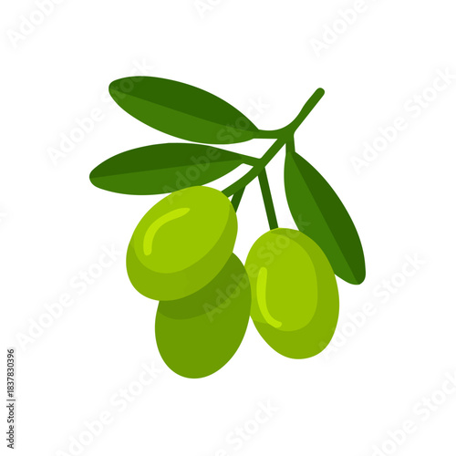 Simple flat 2D vector graphic of Ziziphus, modern icon look, displayed on a pure white background.