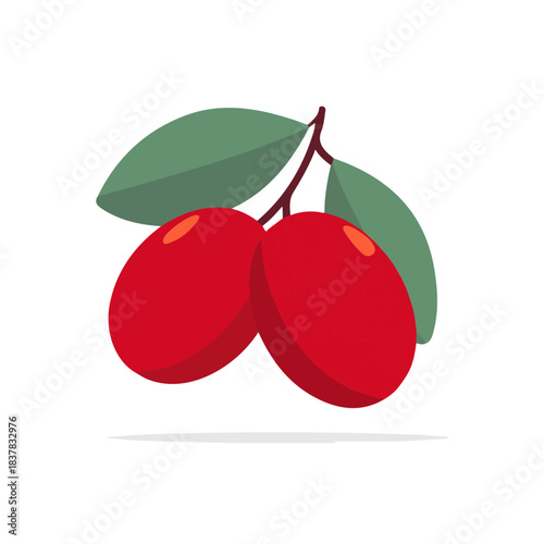 Simple flat 2D vector graphic of Miracle Fruit, modern icon look, displayed on a pure white background.