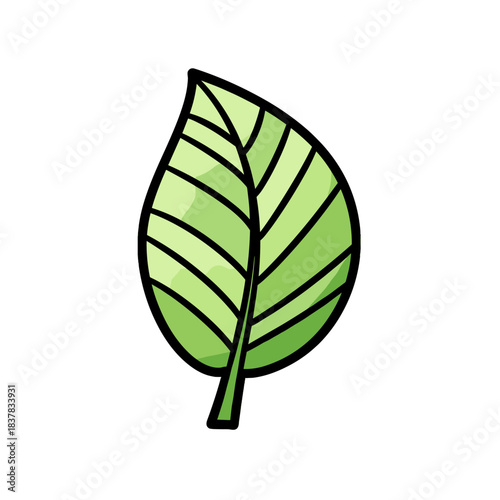 Green leaf illustration with detailed veins in minimalist style  