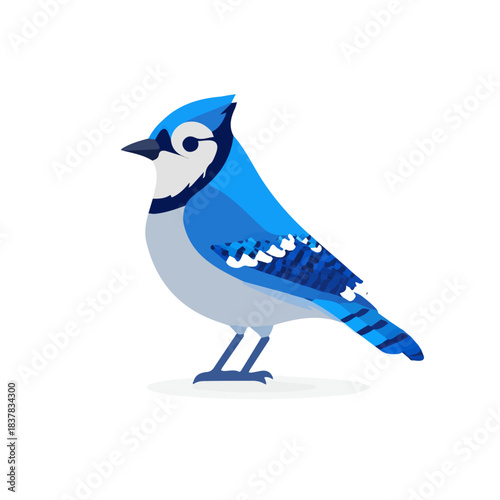 Modern flat 2D vector illustration of Blue Jay, clean and minimal design, isolated on white background.