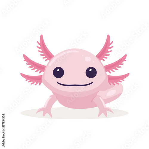 2D flat vector illustration of Axolotl, designed in a clean icon style and isolated on a white background.