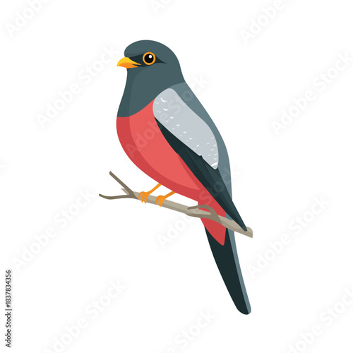 Flat 2D vector illustration of Trogon, simple icon style on a clean white background.