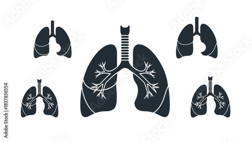 Set of Human Lung Silhouettes