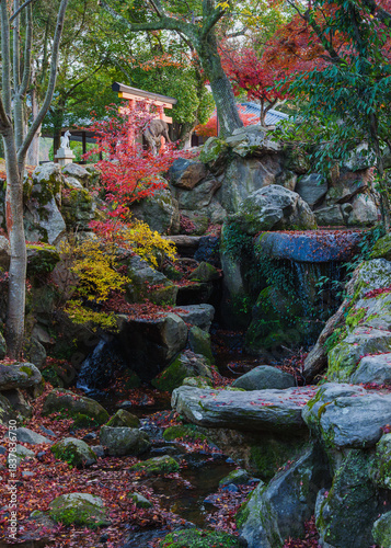 紅葉と鹿 2025年12月7日撮影（奈良市奈良公園）