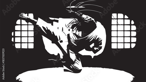 Dynamic silhouette of a martial artist executing a high kick in a dramatic studio.
