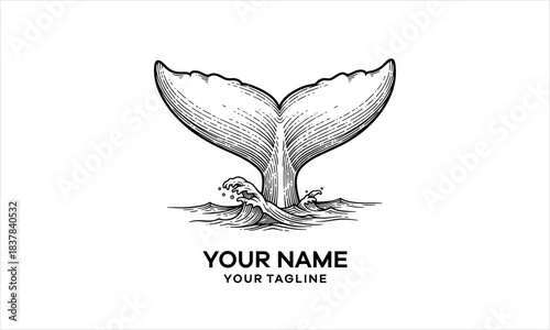 Vintage Whale Tail Logo Design with Splash Hand Drawn Ocean Fluke Engraving logo design.