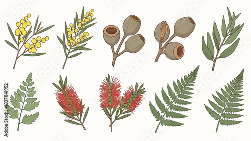 Illustration of ten botanical drawings including flowers leaves and branches