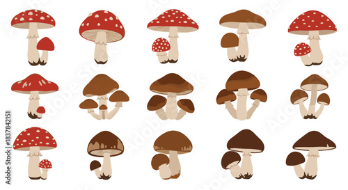 Various cartoon mushrooms, including red toadstools with white spots and different brown fungi in singles and clusters, on a white background.