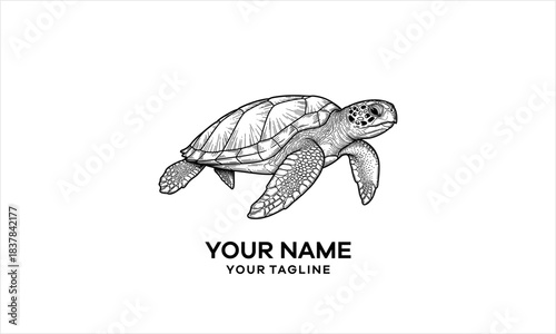 Detailed black and white sketch illustration of a sea turtle swimming, suitable for a logo design.