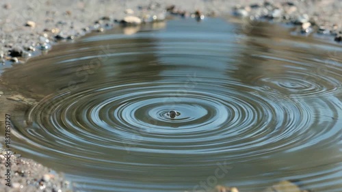Water droplet impact creates ripples in a puddle on the ground.