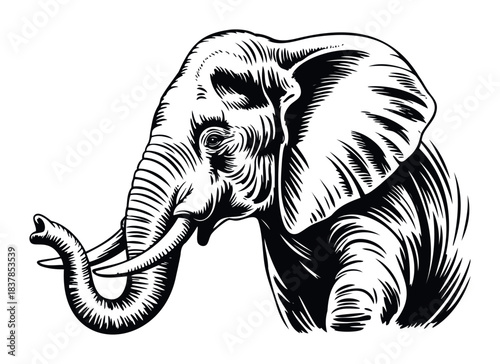 Striking black and white linocut style depiction of an elephants head with trunk raised, perfect for nature conservation themes and animal sanctuary promotions.