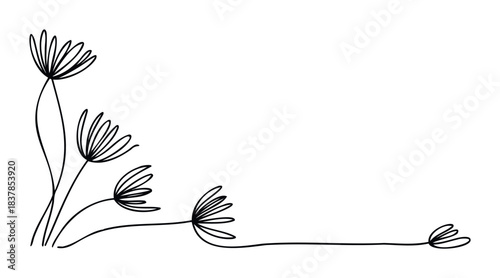 Simple handdrawn line art with delicate dandelion seed head motifs for corner decoration or organic accents in graphic work, perfect for nature themes and light designs.