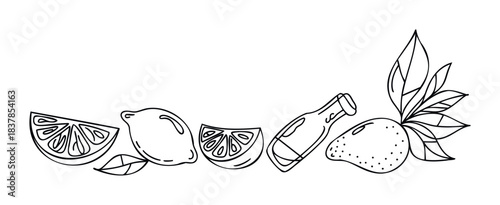 Fresh citrus fruit slices, whole lemon, juice bottle, and mango with leaves in a decorative line drawing for beverage and healthy food themes