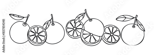 Outline graphic collection of whole and sliced oranges with leaves and stems, perfect for healthy food promotion, recipe books, and juice branding.