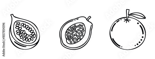 Stylized outline drawings of fruits including a fig, papaya, and orange, perfect for health and wellness related projects and ingredient visuals.