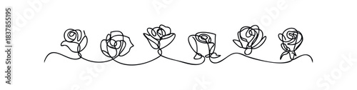 Minimalist continuous line drawing of six rose flowers connected by a flowing line, perfect for floral branding or cosmetic packaging concepts.