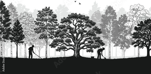 Tree Care Silhouette: In the tranquil woods, two figures work on the earth, silhouetted against a forest of trees, with a large, majestic oak center stage