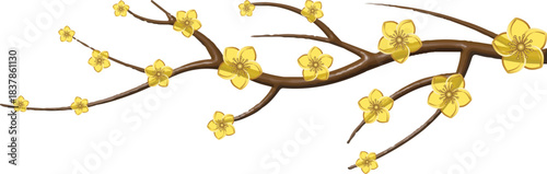  illustration of a flowering branch