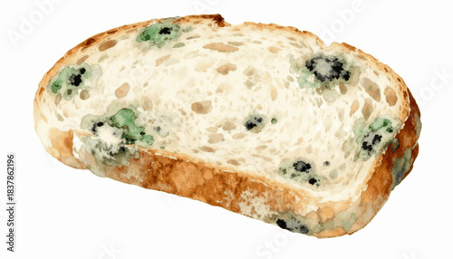 Kitchen Decay Rotten Tomato : Bread Mold isolated watercolor vector illustration svg