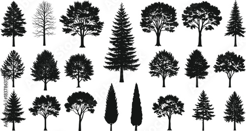 Silhouettes of diverse tree species with varied foliage, branch structures, and seasonal forms