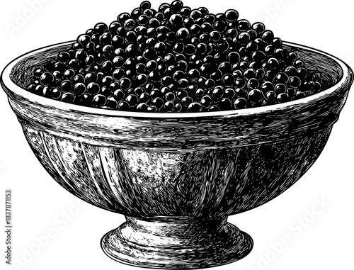 Detailed illustration of a bowl filled with caviar