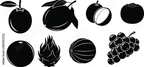 Black and white tropical fruit silhouette set vector illustration orange mango lychee persimmon dragon fruit grapes and watermelon isolated on white background