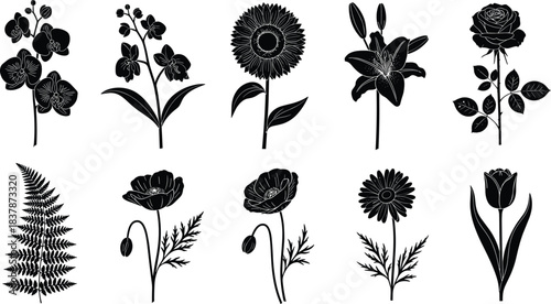 Botanical silhouettes, flower icons, plant shapes, black vector, floral design, nature symbols, garden elements, artistic reference, foliage forms