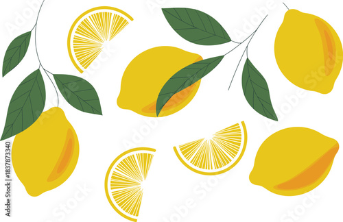 Fresh yellow lemons with leaves and sliced citrus pieces illustrated in modern flat vector style for food and fruit designs