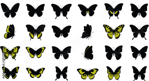 Butterfly silhouettes, black and yellow wings, insect icons, wing pattern grid, nature vector, species variation, symmetry illustration