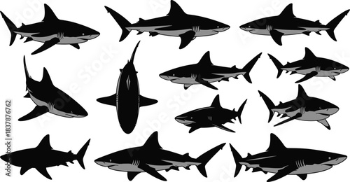 Shark silhouettes, marine life, ocean creatures, dorsal fin, swimming poses, black vector, sea animal icons, underwater illustration