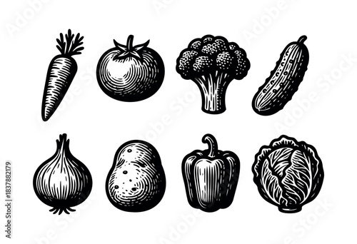 Monochrome illustration of various vegetables in a rustic engraved style, including a carrot, tomato, broccoli, cucumber, onion, potato, bell pepper, and cabbage — stock illustration.