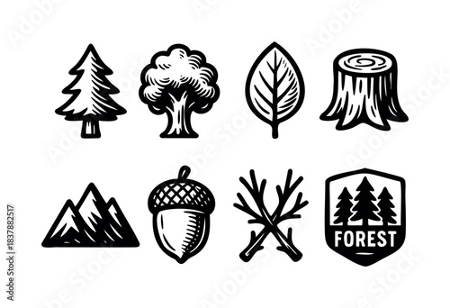 Black and white line art icons representing nature elements like trees, mountains, leaves, and acorns are depicted against a white background — stock illustration.
