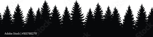 Silhouette of Dense Coniferous Forest Tree Line, Pine and Fir Trees, Minimalist Black and White Vector, Seamless Nature Background for Design